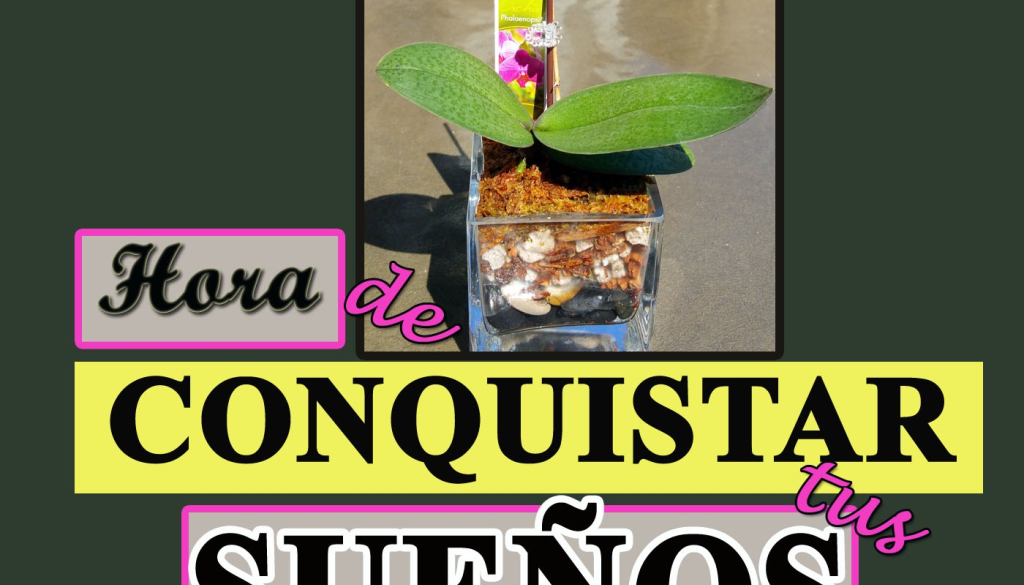 hora-de-conquistar-tus-sue-os_thumbnail.png