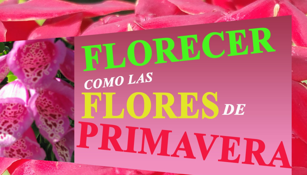 florecer-como-las-flores-en-primavera_thumbnail.png