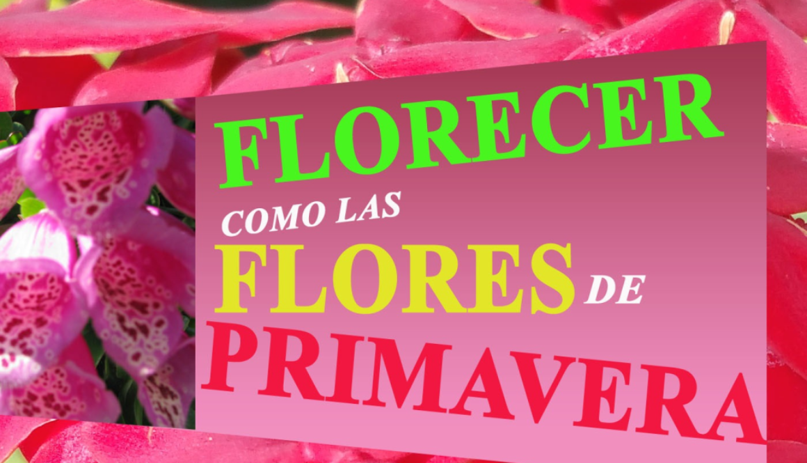 florecer-como-las-flores-en-primavera_thumbnail.png
